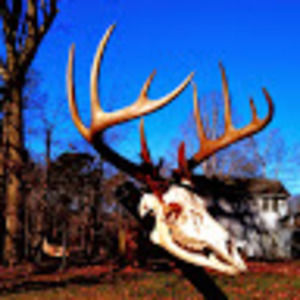 Meet your Posher, Alan